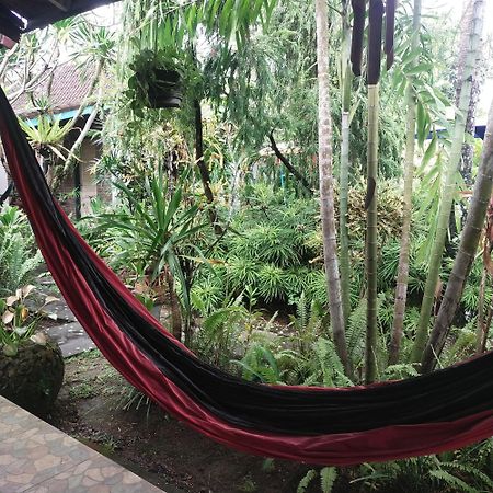 Comeback Guesthouse Canggu Kültér fotó