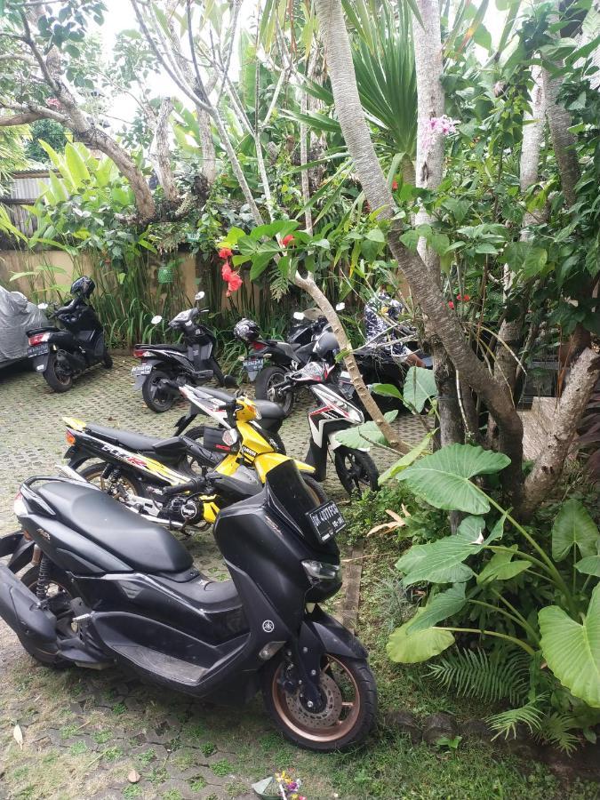 Comeback Guesthouse Canggu Kültér fotó