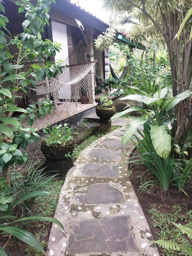 Comeback Guesthouse Canggu Kültér fotó