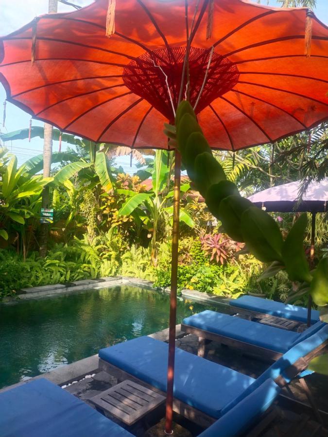 Comeback Guesthouse Canggu Kültér fotó